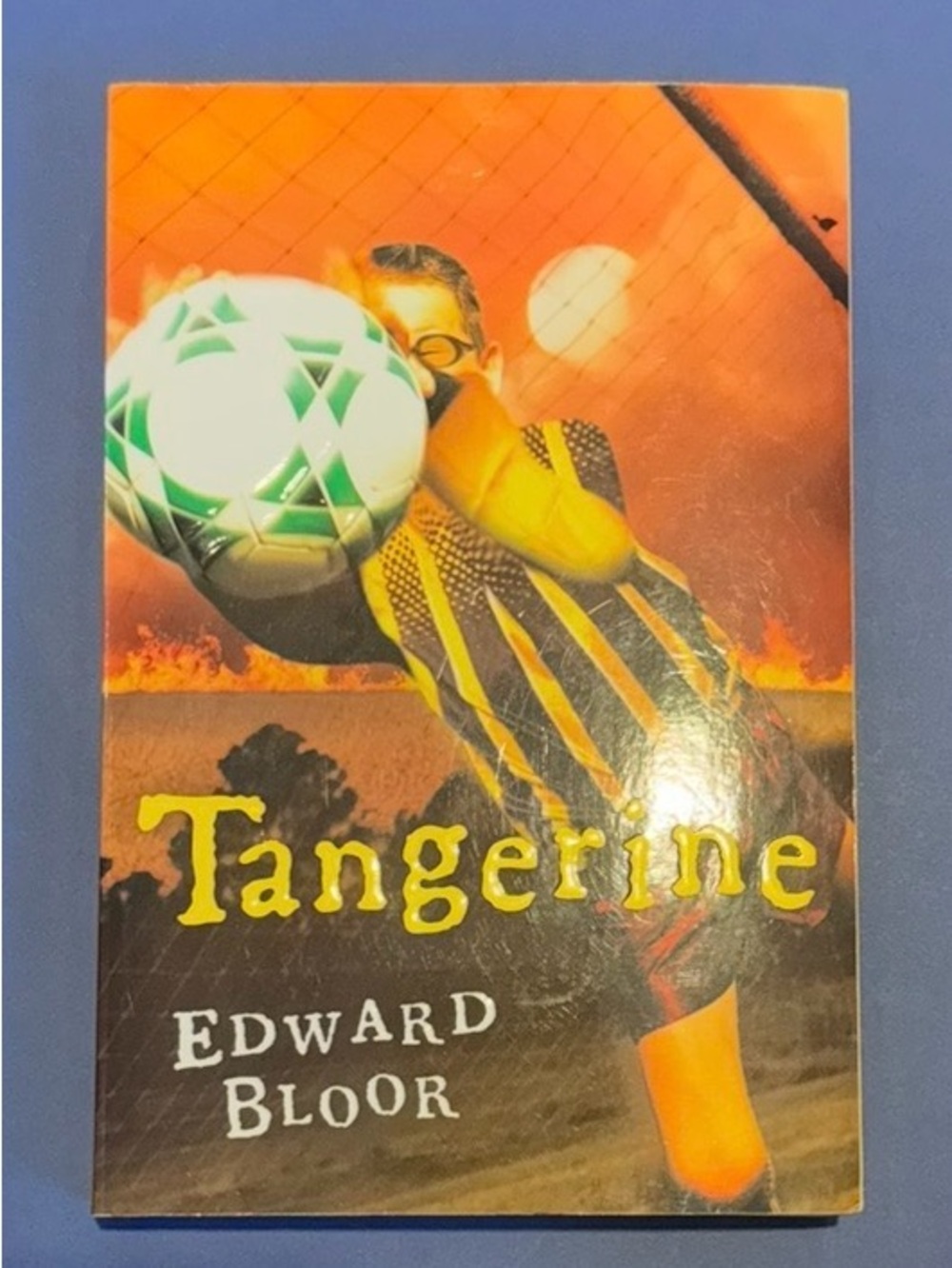 Tangerine by Edward Bloor - Orange Paperback Cover